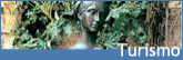 turismo Verona turismo Verona